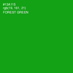 #13A115 - Forest Green Color Image